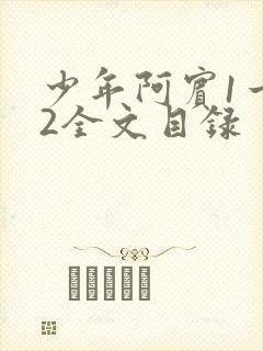 少年阿宾1一72全文目录