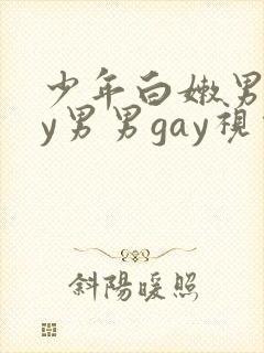 少年白嫩男gay男男gay视频