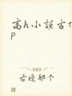 高h小说古代np封面