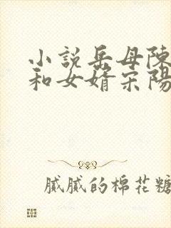 小说岳母陈丽珍和女婿宋阳免费阅读全文封面