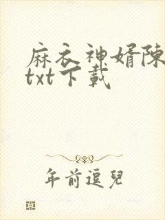 麻衣神婿陈黄皮txt下载