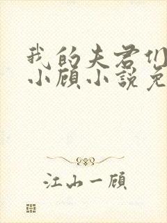 我的夫君们by小顾小说免费阅读