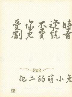爱你不逢时 短剧免费观看