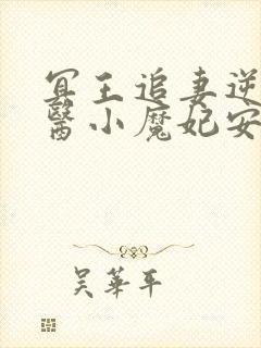 冥王追妻逆天鬼医小魔妃安小七