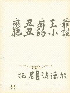 恋丑癖王爷是老肥丑的小说推荐
