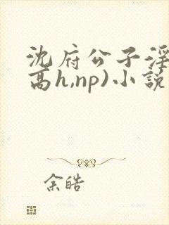 沈府公子淫史(高h,np)小说