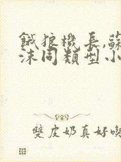 饿狼机长,苏沫沫同类型小说封面
