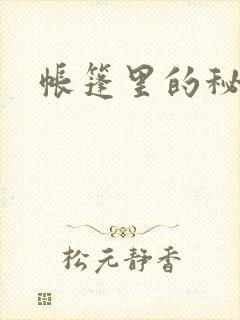 帐篷里的秘密.封面