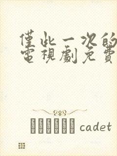 仅此一次的爱情电视剧免费观看全集