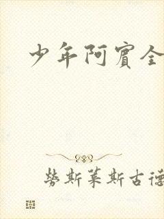 少年阿宾全章节封面