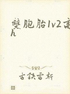 双胞胎1v2高h封面