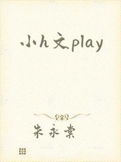 小h文play