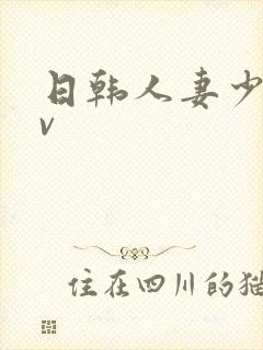 日韩人妻少妇av
