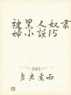被黑人奴隶的少妇小说15封面