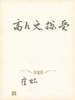 高h文总受