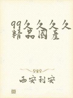 99久久久久久精品国产