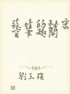 苏晴的秘密无弹窗笔趣阁封面