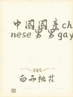 中国国产chinese男男gay gay网站
