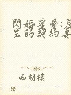 闪婚蜜爱:厉先生的契约妻
