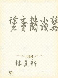 徐文栋小说全文免费阅读无弹窗