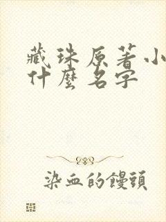 书籍封面