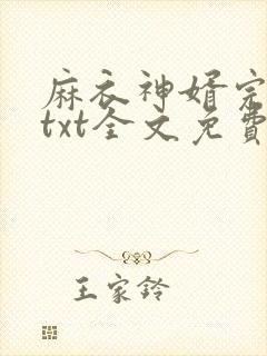 麻衣神婿完整版txt全文免费下载