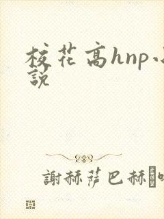 校花高hnp小说