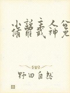 小说主人公楚枫修罗武神免费阅读封面