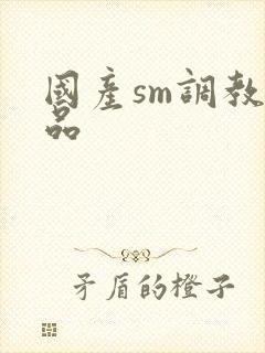 国产sm调教精品