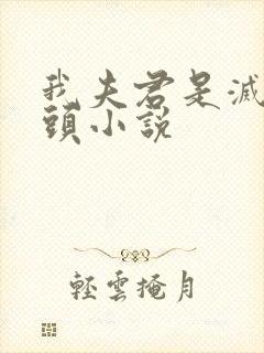 我夫君是灭世魔头小说