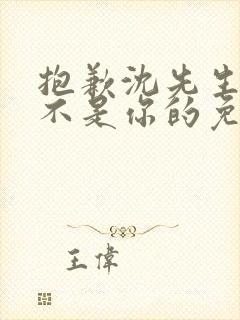 抱歉沈先生孩子不是你的免费短剧