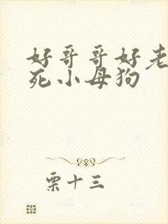 好哥哥好老公操死小母狗