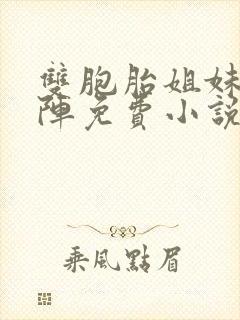 双胞胎姐妹齐上阵免费小说