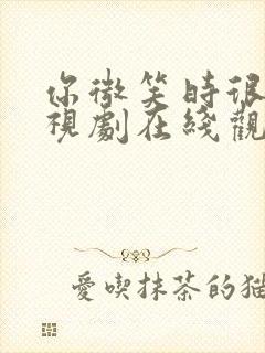 你微笑时很美电视剧在线观看免费完整版封面