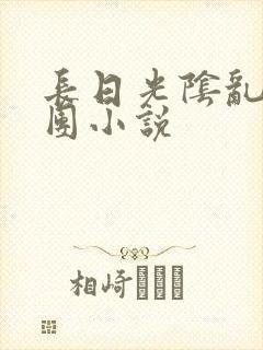 长日光阴乱作一团小说封面