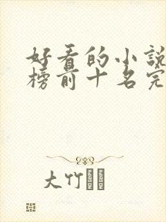 好看的小说排行榜前十名完结版