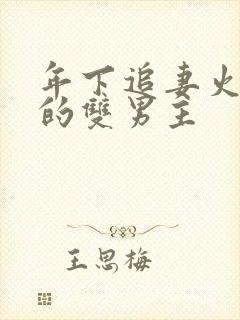 年下追妻火葬场的双男主