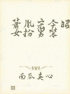 萧胤宋今昭小说女扮男装