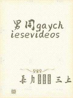 男同gaychiesevideos