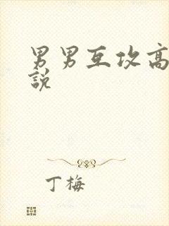 男男互攻高h小说