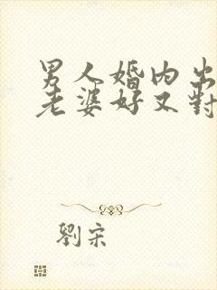 男人婚内出轨对老婆好又对情人好封面