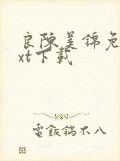 良陈美锦免费txt下载