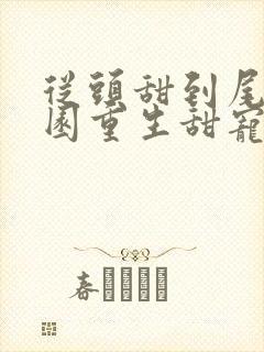 从头甜到尾的校园重生甜宠文