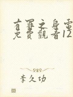 有罪之身电视剧免费观看12集高清