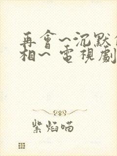 再会~沉默的真相~ 电视剧 在线观看
