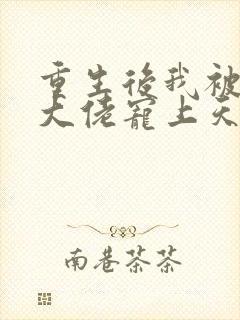 重生后我被偏执大佬宠上天