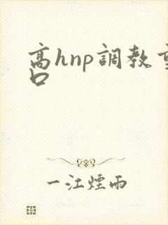 高hnp调教重口