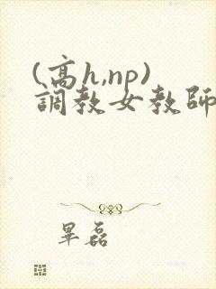 (高h,np)调教女教师h文