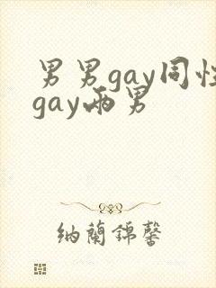 男男gay同性gay两男