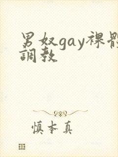 男奴gay裸体调教封面